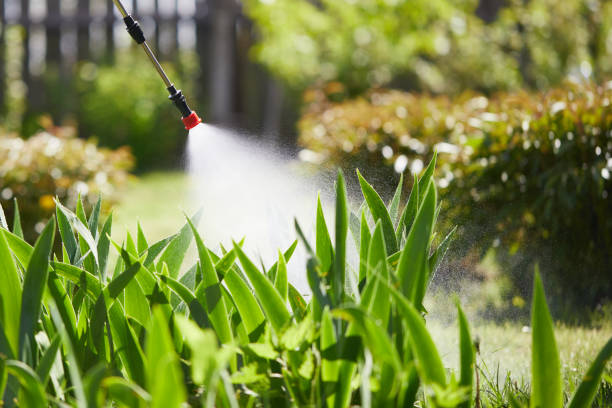 24/7 Emergency Mosquito Control experts in Thief River Falls, MN